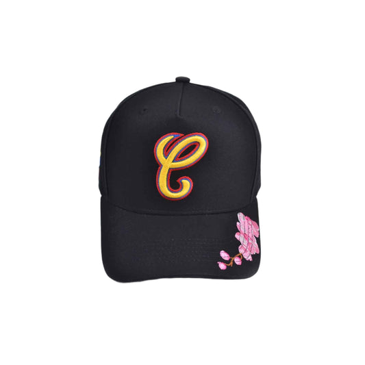 Homage Snapback Hat